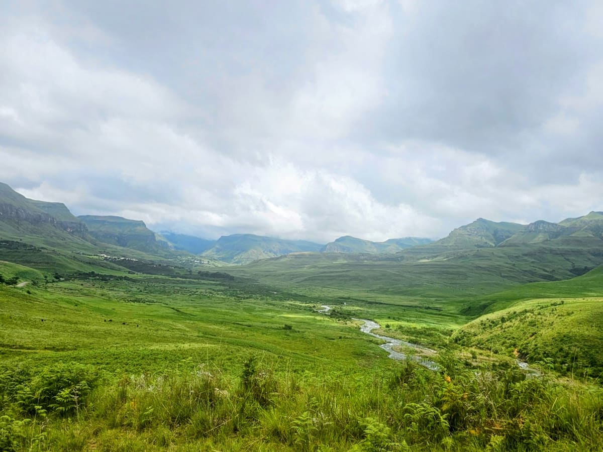 Africa Nature album cover — wildlife and landscape photography from southern Africa